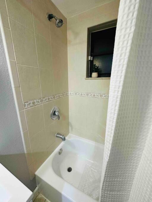 Coral Gables Miami Studio Near Airport And Beaches Kültér fotó